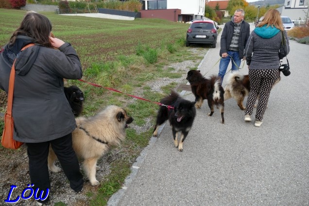 29.10.2023 - Familienausflug